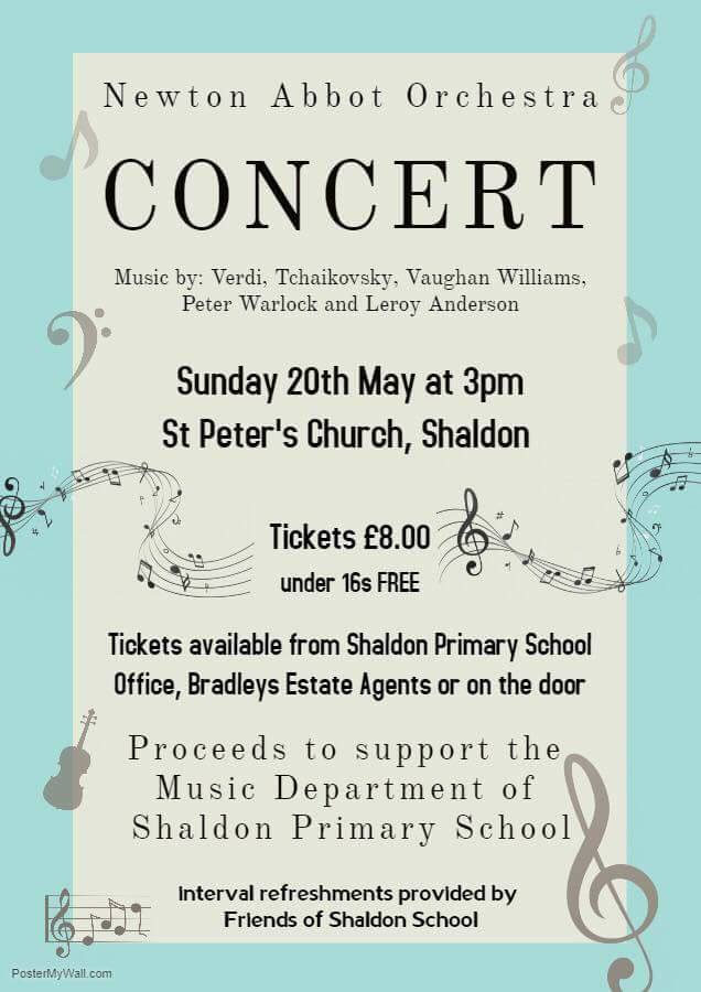 CLassical concert -Newton Abbot Orchestra